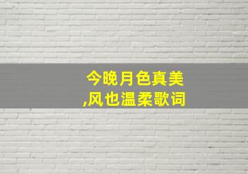 今晚月色真美,风也温柔歌词