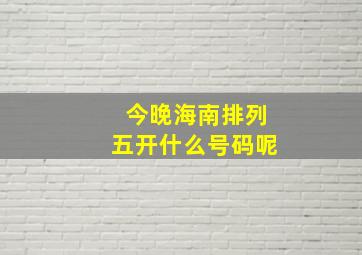 今晚海南排列五开什么号码呢