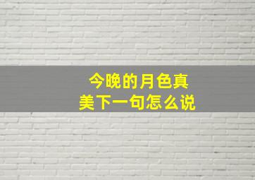 今晚的月色真美下一句怎么说