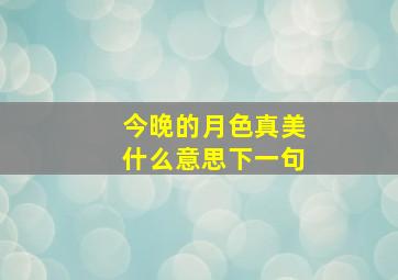 今晚的月色真美什么意思下一句