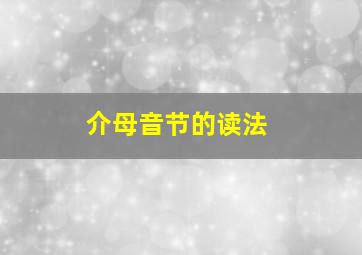 介母音节的读法