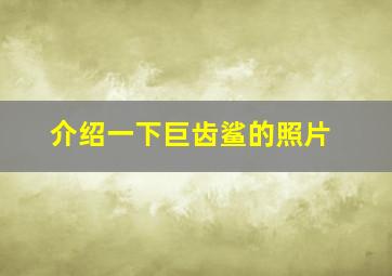 介绍一下巨齿鲨的照片