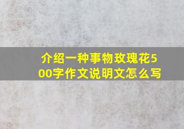 介绍一种事物玫瑰花500字作文说明文怎么写