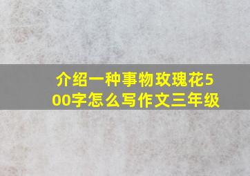 介绍一种事物玫瑰花500字怎么写作文三年级