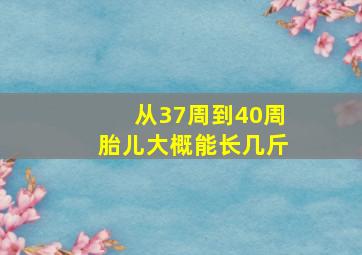 从37周到40周胎儿大概能长几斤