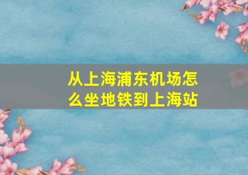 从上海浦东机场怎么坐地铁到上海站