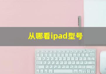 从哪看ipad型号