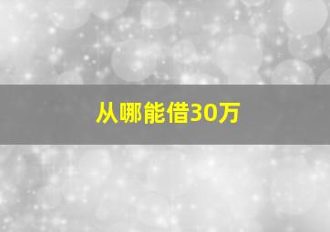 从哪能借30万