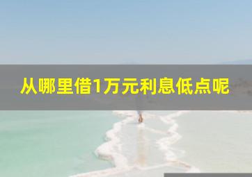 从哪里借1万元利息低点呢