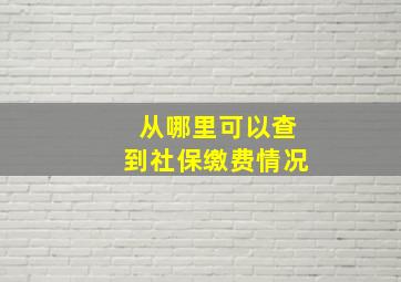 从哪里可以查到社保缴费情况