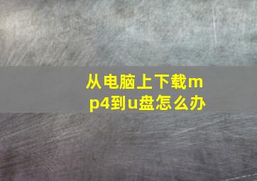 从电脑上下载mp4到u盘怎么办