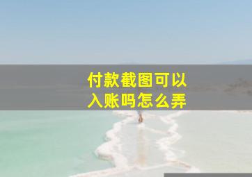 付款截图可以入账吗怎么弄