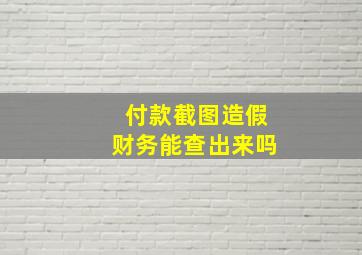 付款截图造假财务能查出来吗