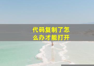 代码复制了怎么办才能打开