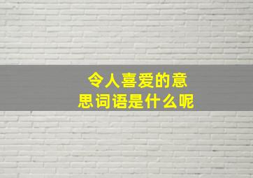 令人喜爱的意思词语是什么呢