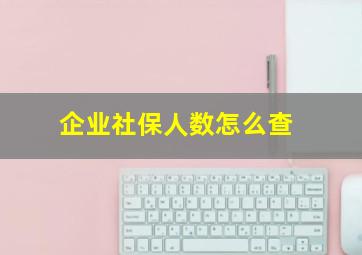 企业社保人数怎么查