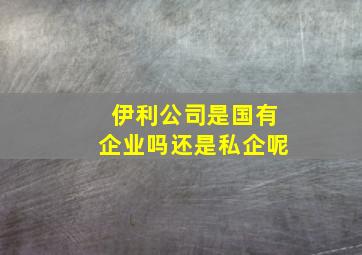 伊利公司是国有企业吗还是私企呢