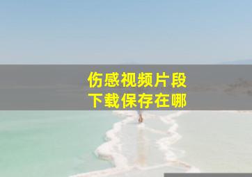 伤感视频片段下载保存在哪