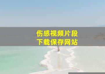 伤感视频片段下载保存网站