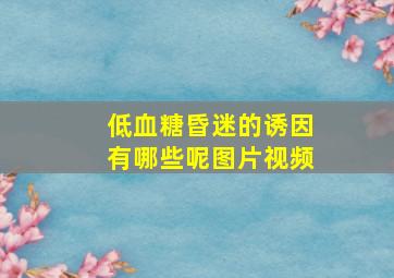 低血糖昏迷的诱因有哪些呢图片视频