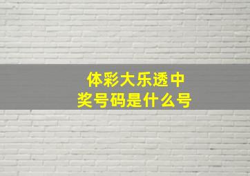 体彩大乐透中奖号码是什么号