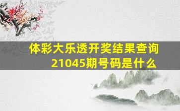 体彩大乐透开奖结果查询21045期号码是什么