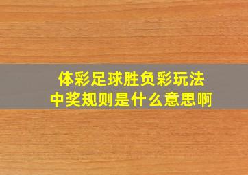 体彩足球胜负彩玩法中奖规则是什么意思啊