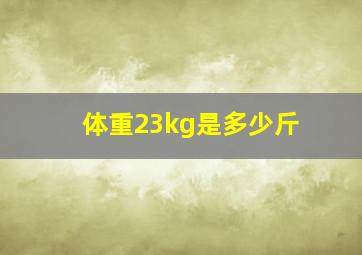 体重23kg是多少斤