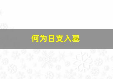 何为日支入墓