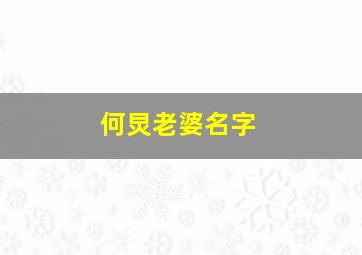 何炅老婆名字