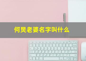 何炅老婆名字叫什么