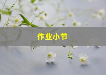 作业小节