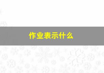 作业表示什么