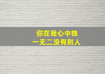 你在我心中独一无二没有别人