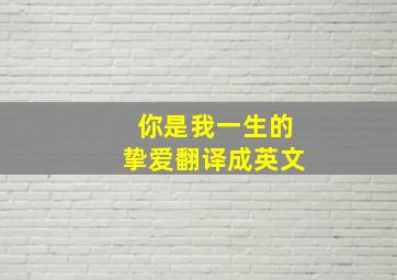 你是我一生的挚爱翻译成英文