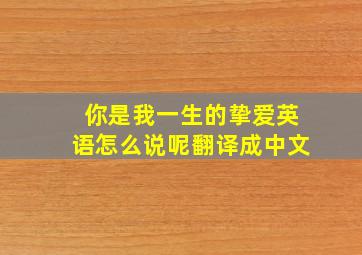 你是我一生的挚爱英语怎么说呢翻译成中文