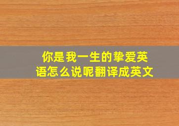 你是我一生的挚爱英语怎么说呢翻译成英文