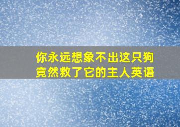 你永远想象不出这只狗竟然救了它的主人英语