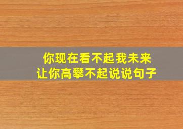 你现在看不起我未来让你高攀不起说说句子