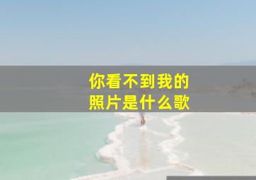 你看不到我的照片是什么歌