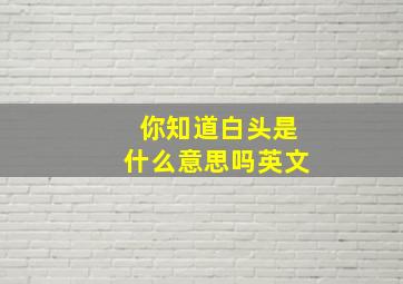 你知道白头是什么意思吗英文