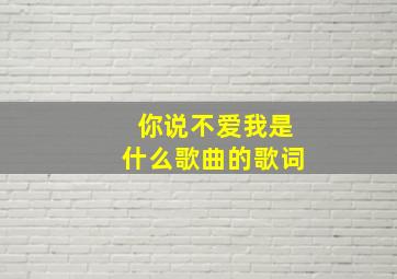 你说不爱我是什么歌曲的歌词