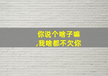 你说个啥子嘛,我啥都不欠你