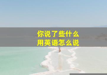 你说了些什么用英语怎么说