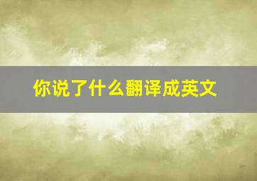 你说了什么翻译成英文