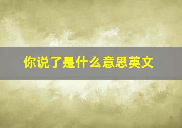 你说了是什么意思英文