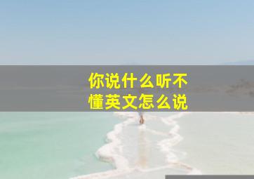 你说什么听不懂英文怎么说