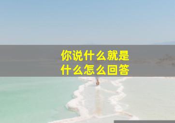 你说什么就是什么怎么回答