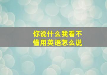 你说什么我看不懂用英语怎么说