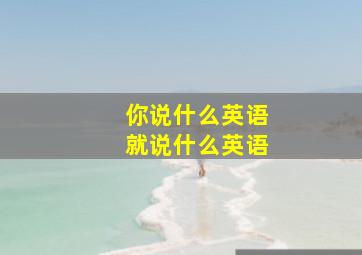 你说什么英语就说什么英语